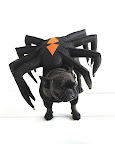 A cluster of spiders... A cluster of spiders...