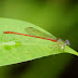 P1170742