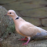 IMG_6305.jpg