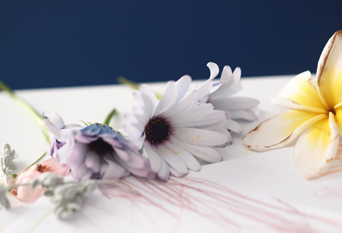sweet flowers
