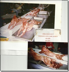 Kinder meat carcass Kinder meat carcass