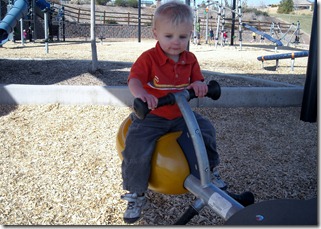 Playing at the Park