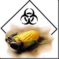 monsanto-toxic monsanto-toxic