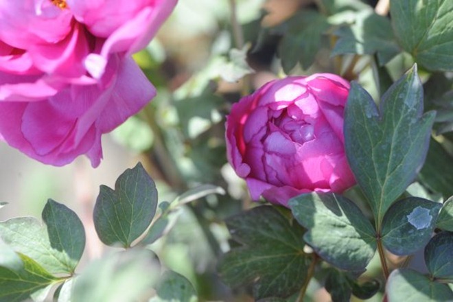 claus20120416_092621