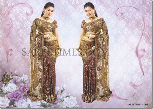 Archana_in_Saree
