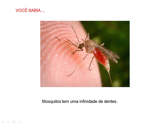 [cur15%255B3%255D.jpg]