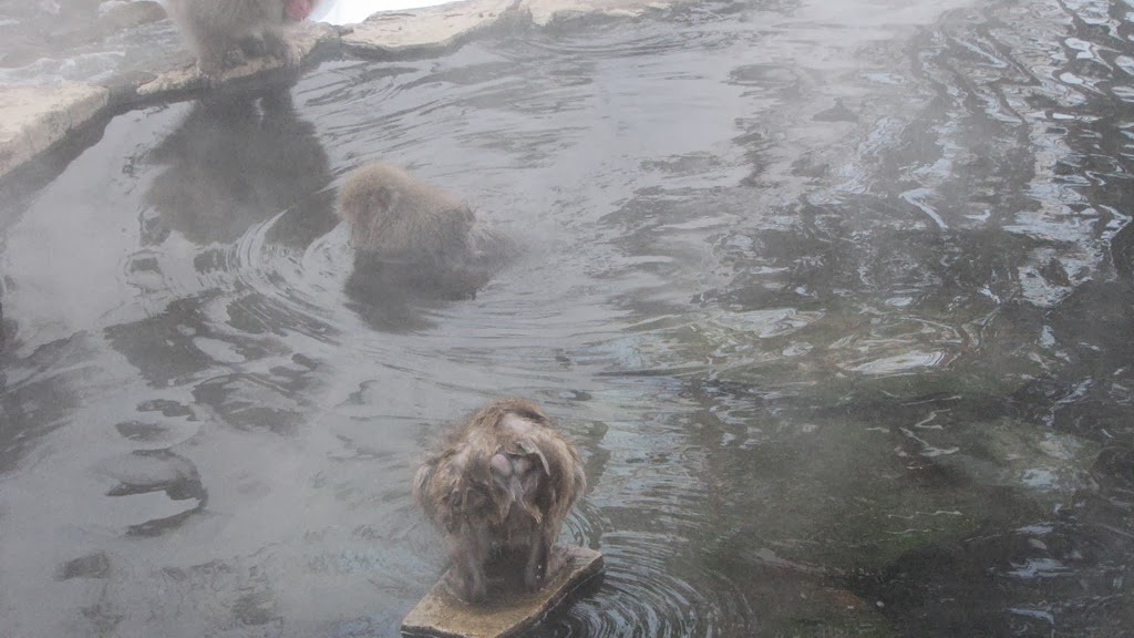 [IMG_4266%255B3%255D.jpg]