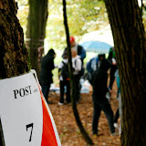 Comoara 2010 089.JPG