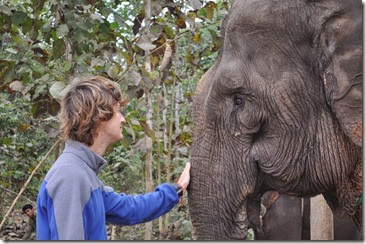 Laos Luang Prabang Elephant mahout course 140202_0087
