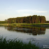 dsc03632.jpg