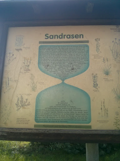 Sandrasen