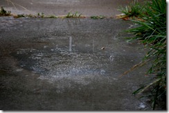 rain8