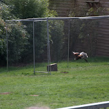 Cub Pack Holiday - Skreens Park 2012 - DSC_0139.jpg