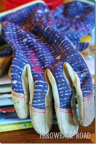 seed mags 054 seed mags 054
