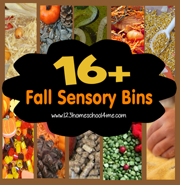 16 Fall Sensory Bins