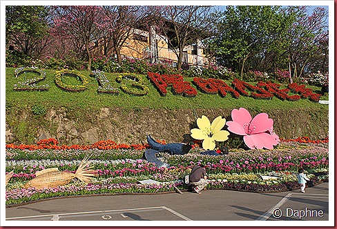 IMG_2257 IMG_2257
