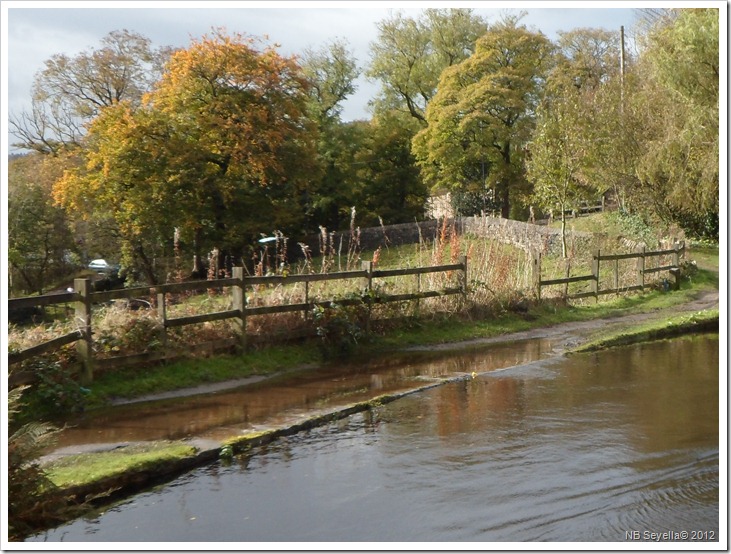 SAM_3993 Wet Towpath