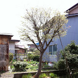 20110503