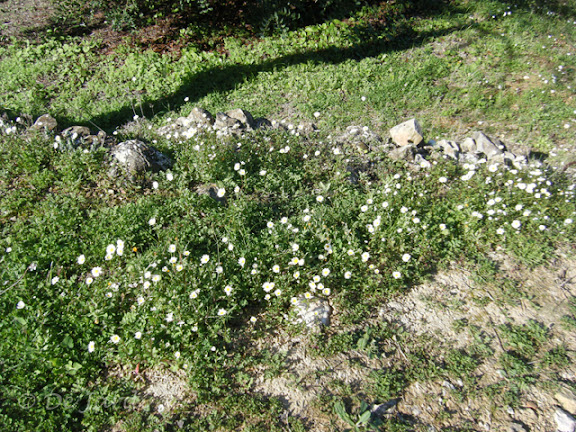 2012_01290030r.jpg