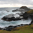 IMG_5007.JPG