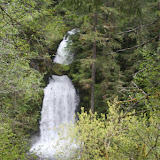 IMG_2208.JPG