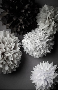 Prickar, Weddingfashion