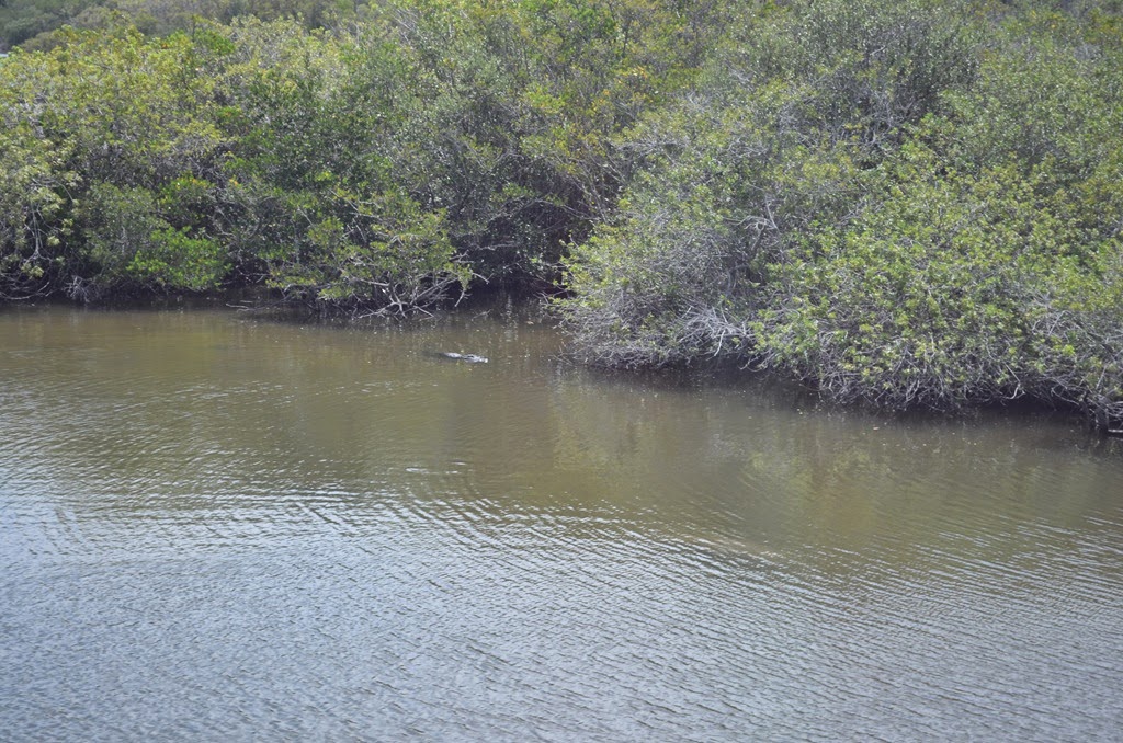 [DSC_8248%255B3%255D.jpg]