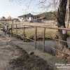 przed Międzychodem -Bielsko dsc07244.jpg