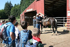 Staffers helped us learn about the parts of a horse and how to ride and steer them