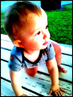 Sammy on porch table