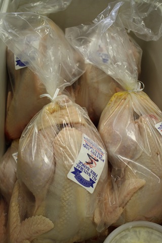 [free%2520range%2520chicken%2520quattros%255B3%255D.jpg]
