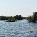 IMG_8003.JPG