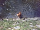 01042012241.jpg