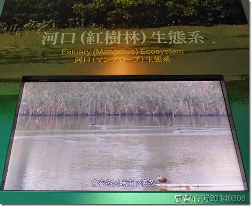 CIMG0737 CIMG0737