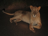 South Africa - 115.JPG