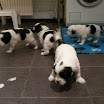 DSCN0147.JPG