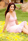 Katrina Kaif Photos