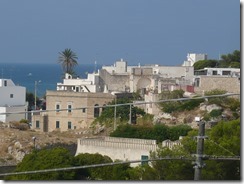 Leuca