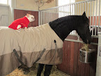 Martyn - is that gourmet hay?