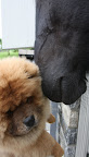 Take a look in the donkey stall.