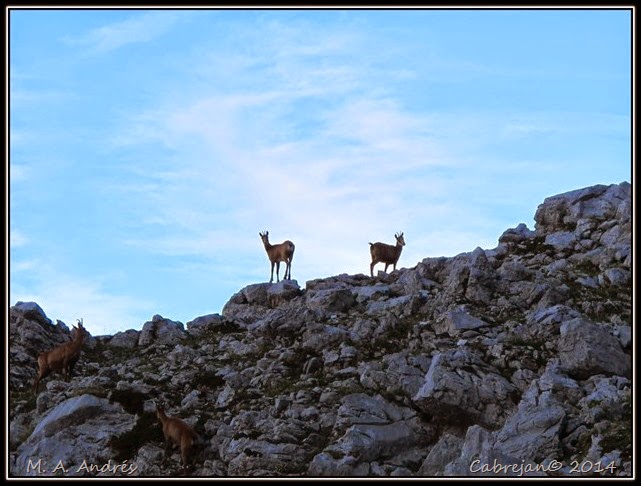 Picos 671 Picos 671