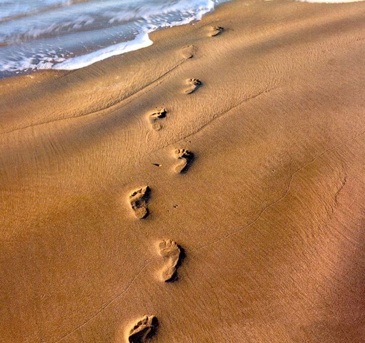 [footprints-in-sand1%255B7%255D.jpg]