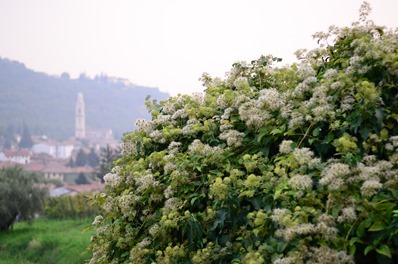 Italian Villa-44