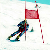 Ski Racing 2001-2002