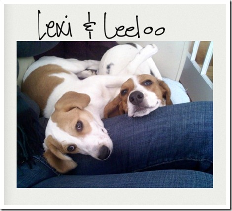 Lexi and Leeloo (2)