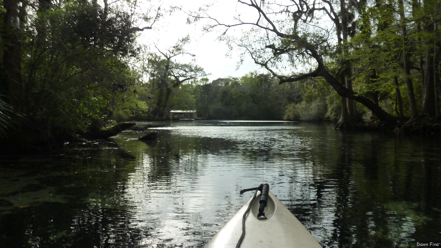 [Chassahowitza-River-canoeing_2403.jpg]