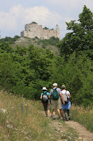 CZR1-11_LH_4155.JPG