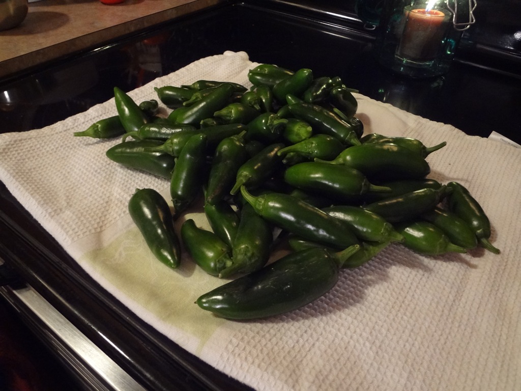 [Garden%2520Oct%252019%2520%252824%2529%255B4%255D.jpg]
