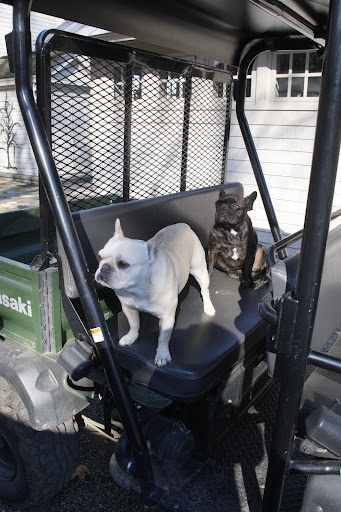 Hey Martha!  We're ready for our ride around the farm!