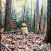 DSCN4321.JPG